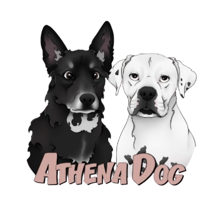 Athena Dog